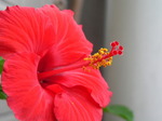 20060606.jpg